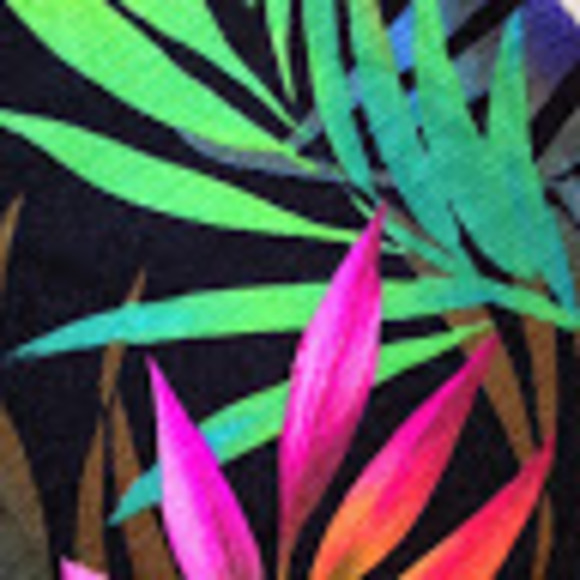 Meet your Posher, Ray - Picture 1 of 1